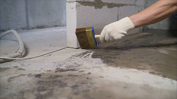 SJ Waterproofing Pros Emergency Waterproofing coverage map for Six Lakes, MI and surrounding area
